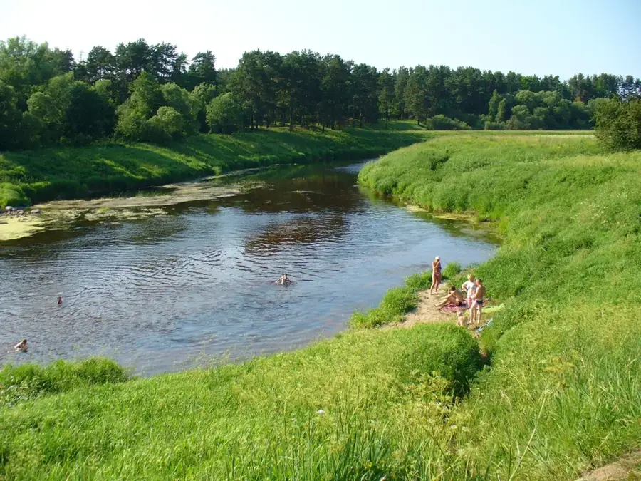 Šešupė River