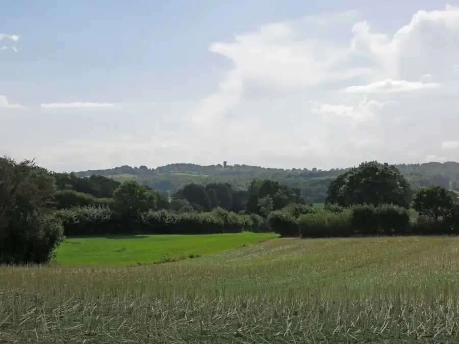 Sūduva Plain