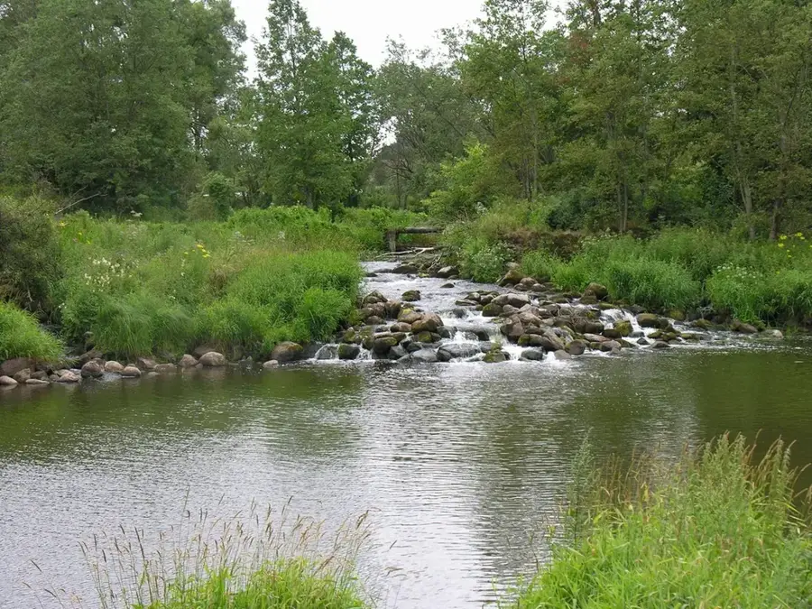 Varduva