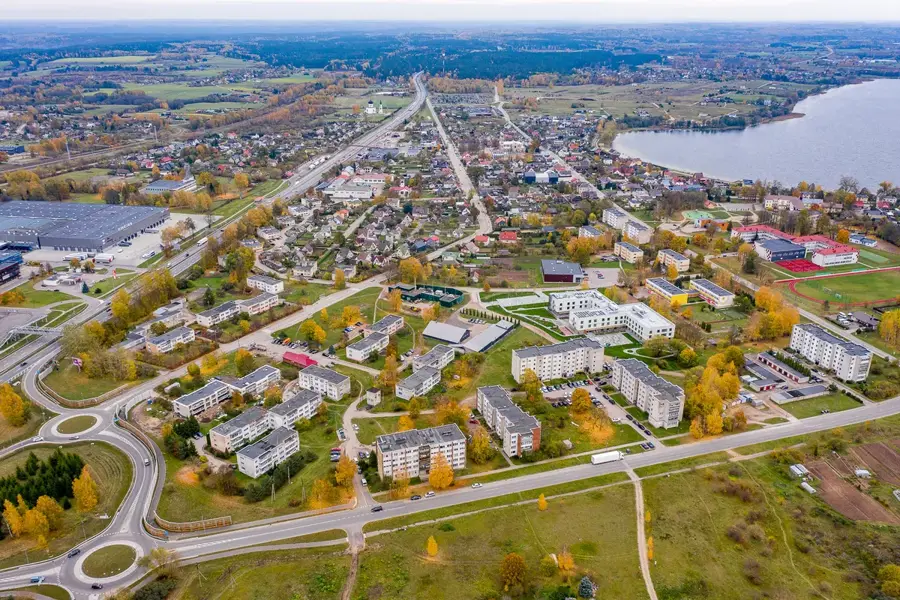 Vievis area