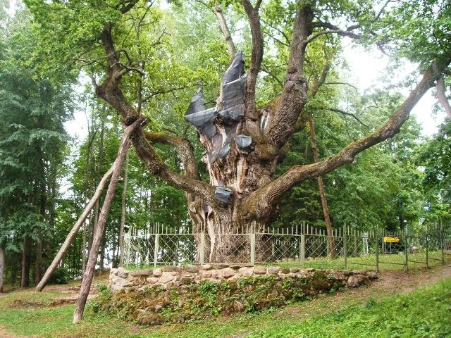 Zarasai Manor Site