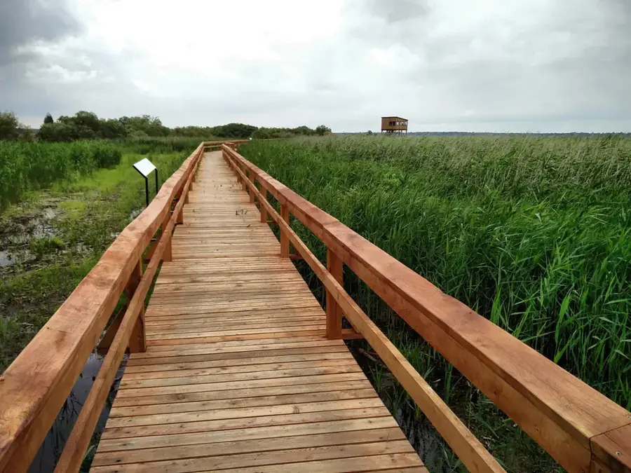 Žuvintas Biosphere Reserve