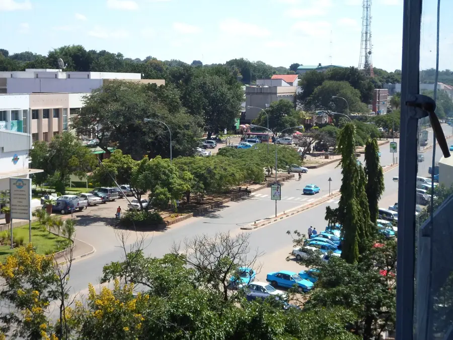 Gara Istorică Livingstone — Baobabul din Kasane (Botswana)