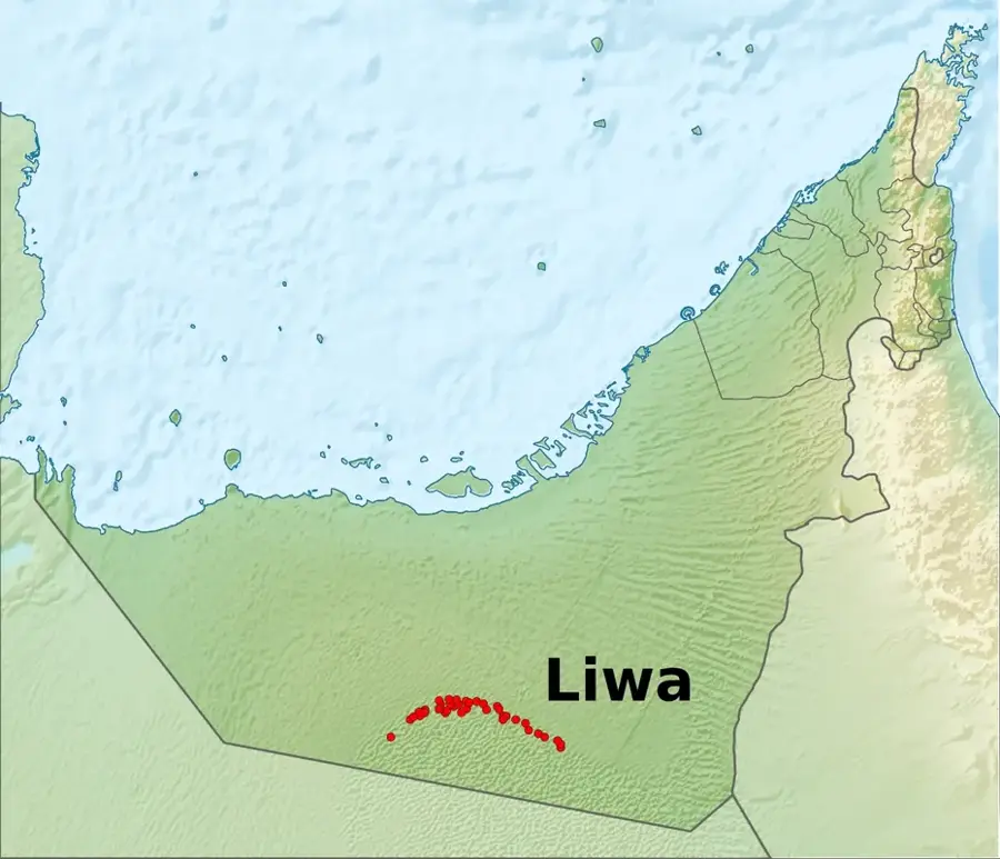 Liwa Desert