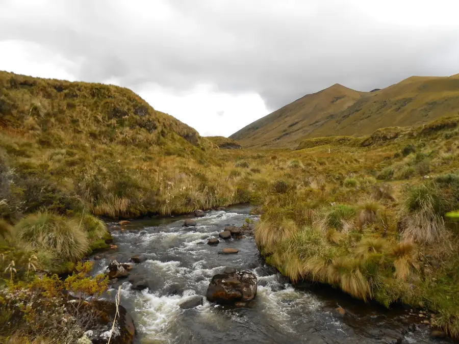 Parcul Național Llanganates — El Altar (Ecuador)