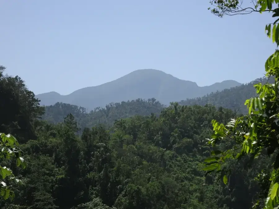 Loma del Gato — Yara (Cuba)