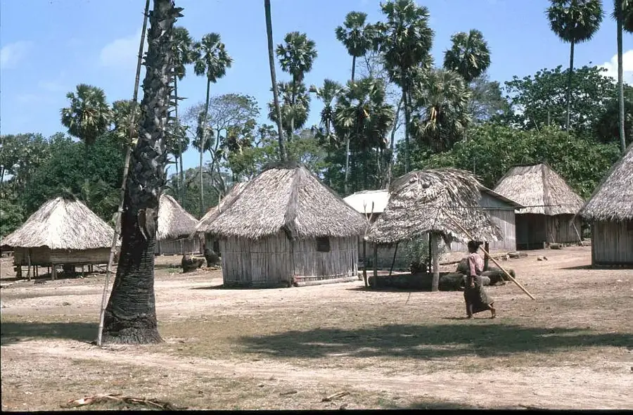 Lore-Naturreservat — Luro (Timor-Leste)
