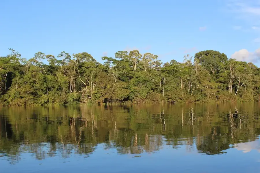 Pădurea tropicală de câmpie a bazinului Congo — Lacul Tumba (Congo - Kinshasa)