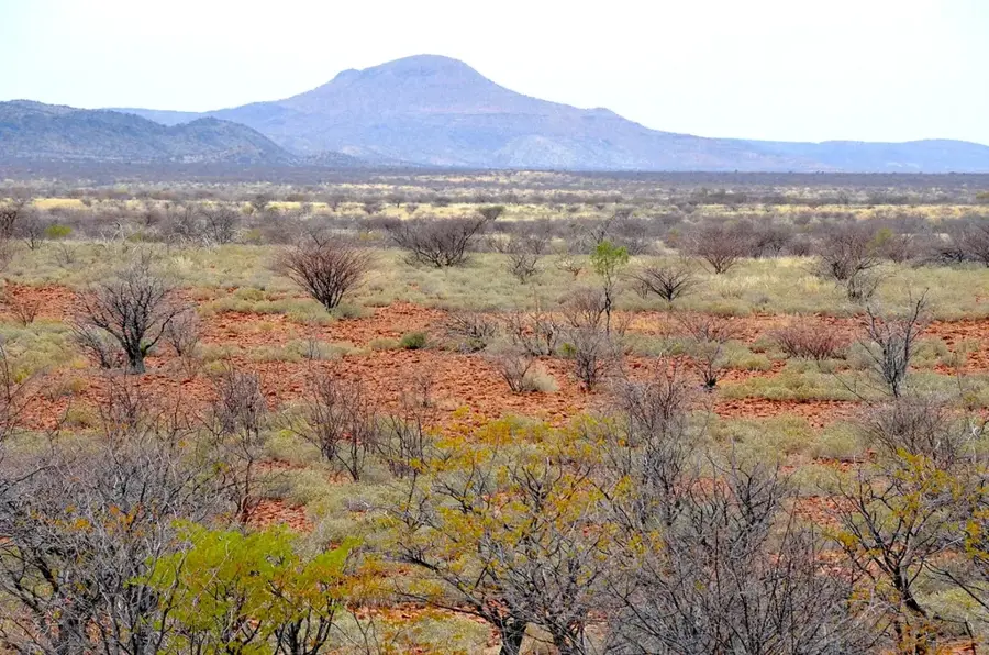 Lowveld-Ebene — Triangle (Simbabwe)