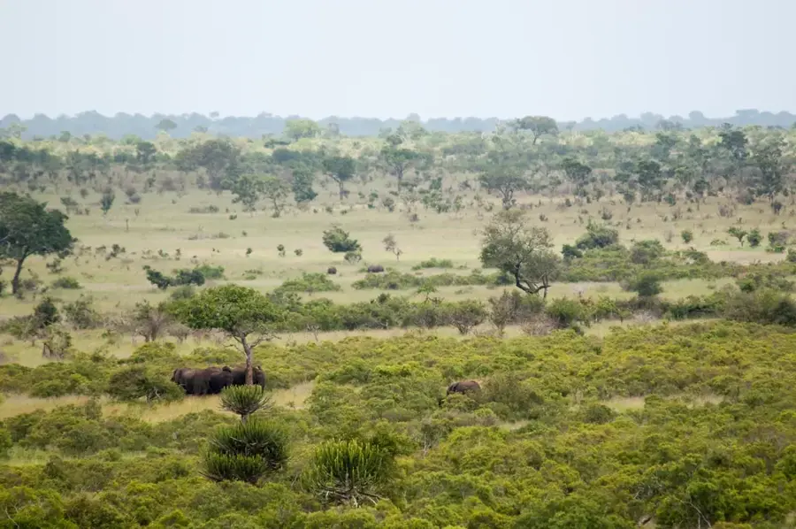 Lowveld — Olifants-Fluss (Südafrika)