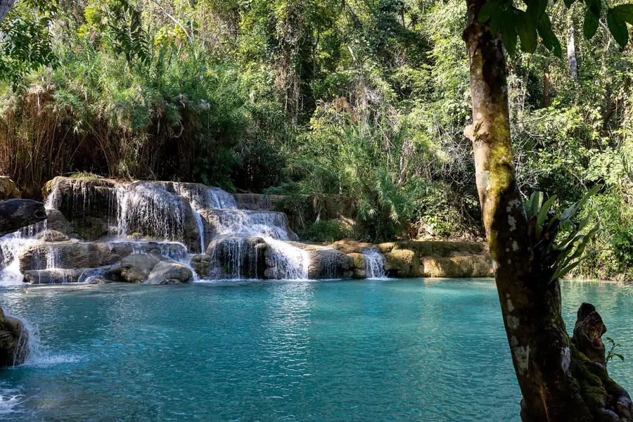 Luang Prabang Butterfly Park