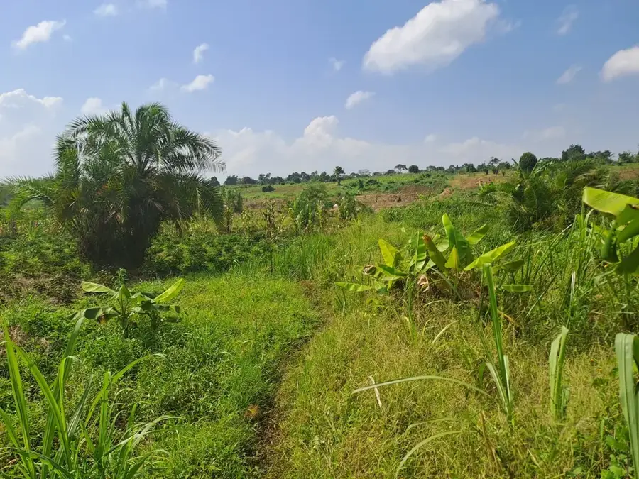 Luweero
