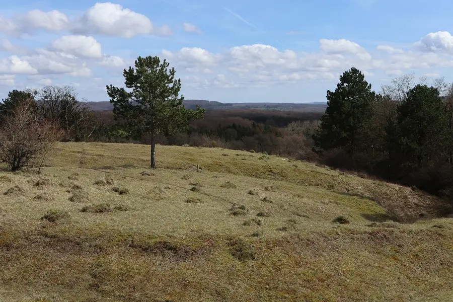 Naturschutzgebiet Aarnescht — Lenningen (Luxemburg)