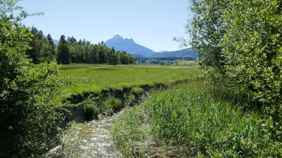 Naturschutzgebiet Am Groussebësch — Lenningen (Luxemburg)