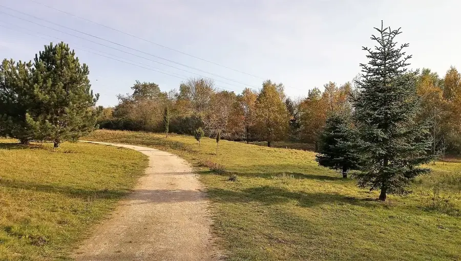 Arboretum Kirchberg