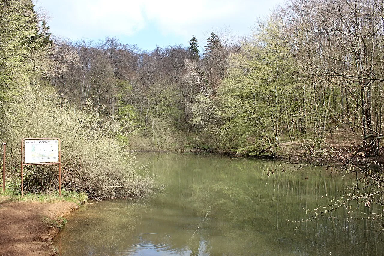 Naturschutzgebiet Ellergronn
