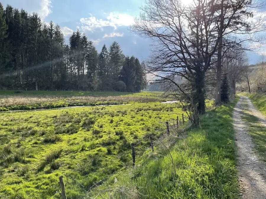 Waldschutzgebiet Saueruecht (Erpeldange) — Diekirch (Luxemburg)