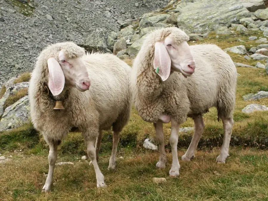 Greiveldinger Höhen — Lenningen (Luxemburg)