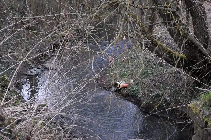 Hierberbësch Nature Reserve