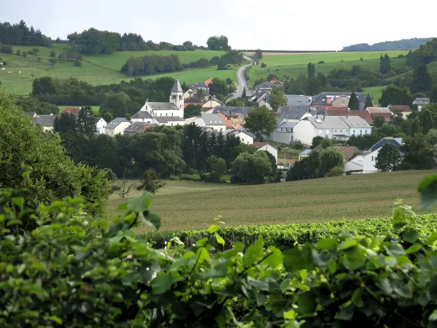Lenningen