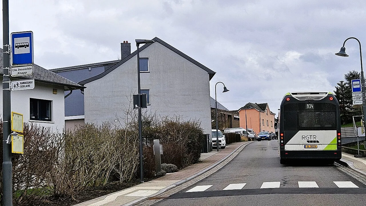 Feuchtgebiet Millewiesen — Saeul (Luxemburg)