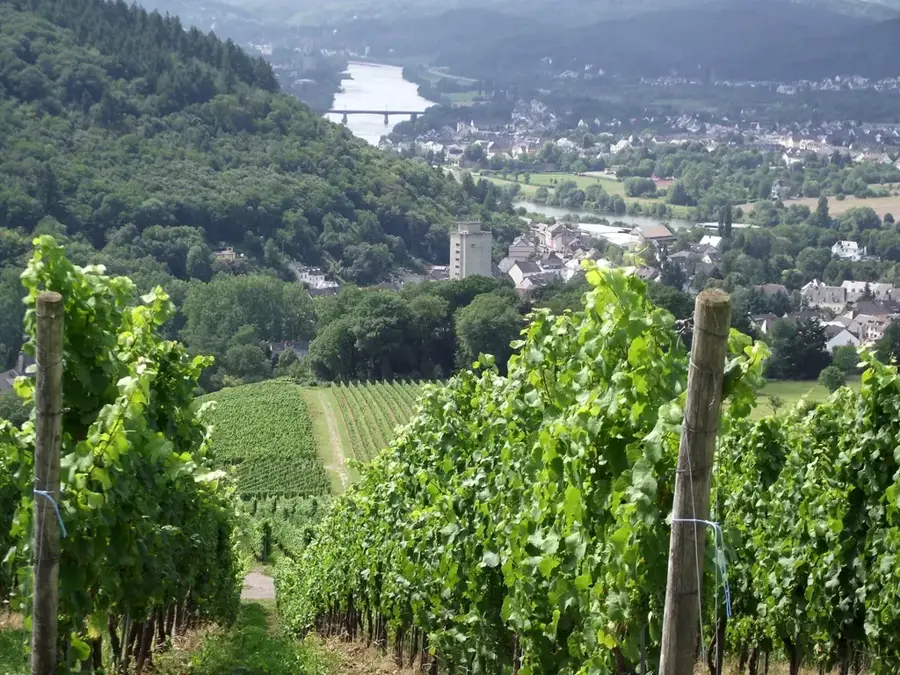 Moselle Valley