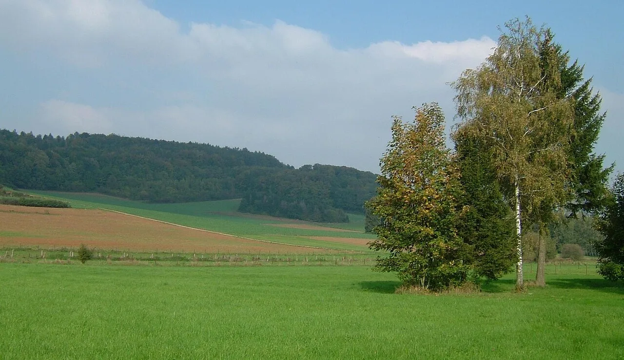 Naturschutzgebiet Tuebebierg — Schifflingen (Luxemburg)