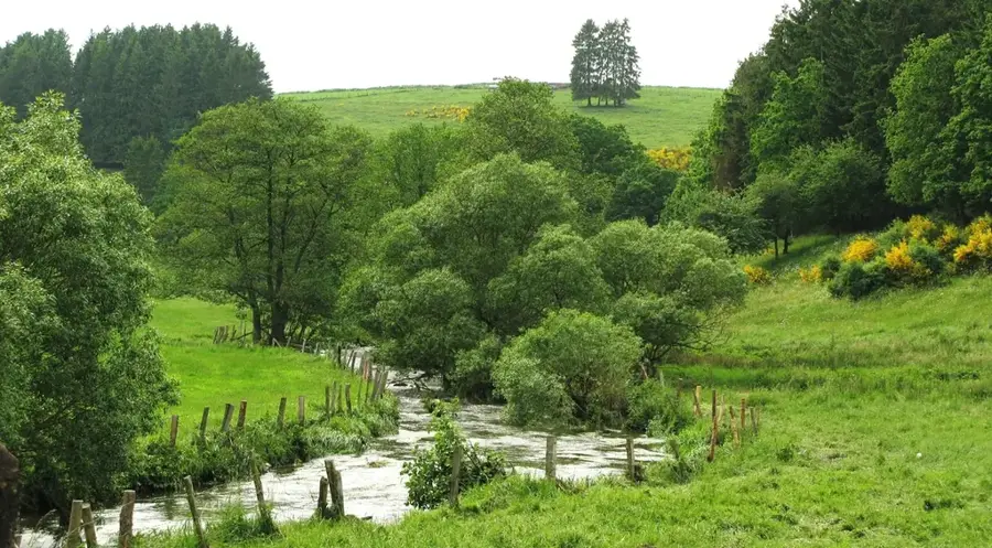 Râul Wiltz — Dahl (Luxemburg)