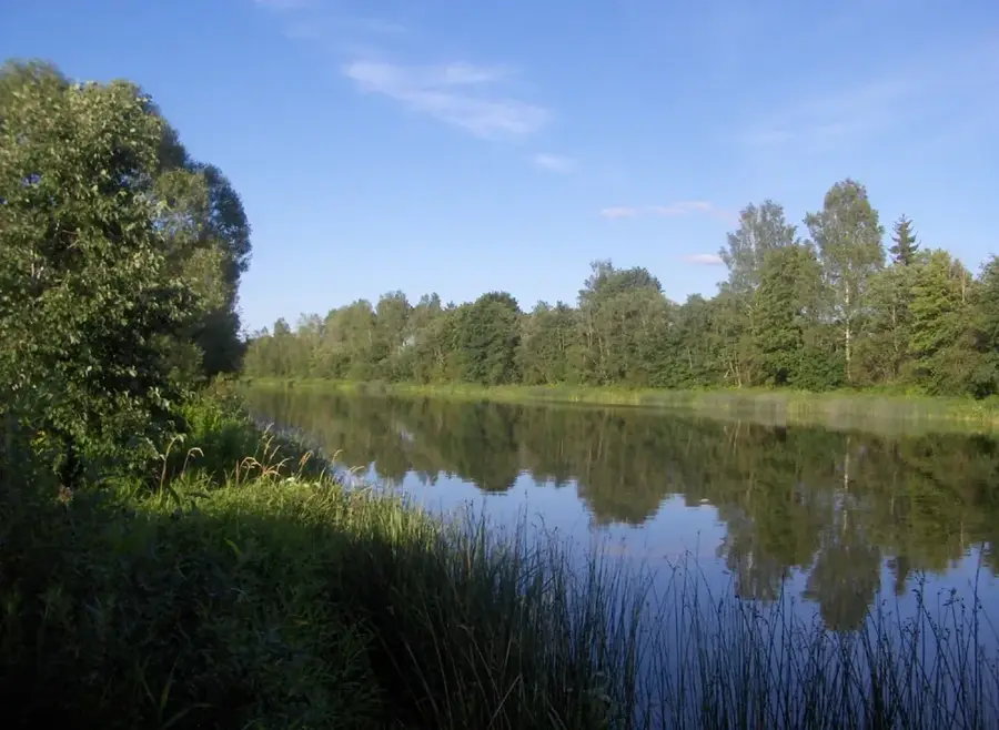 Aiviekste River