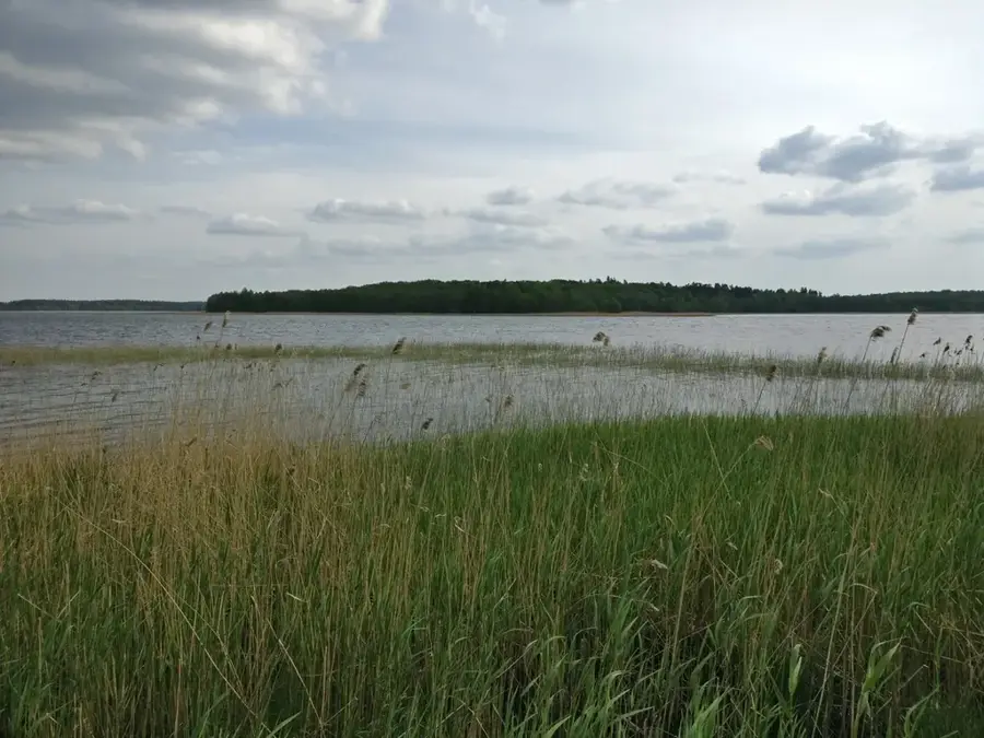 Moricsala Island