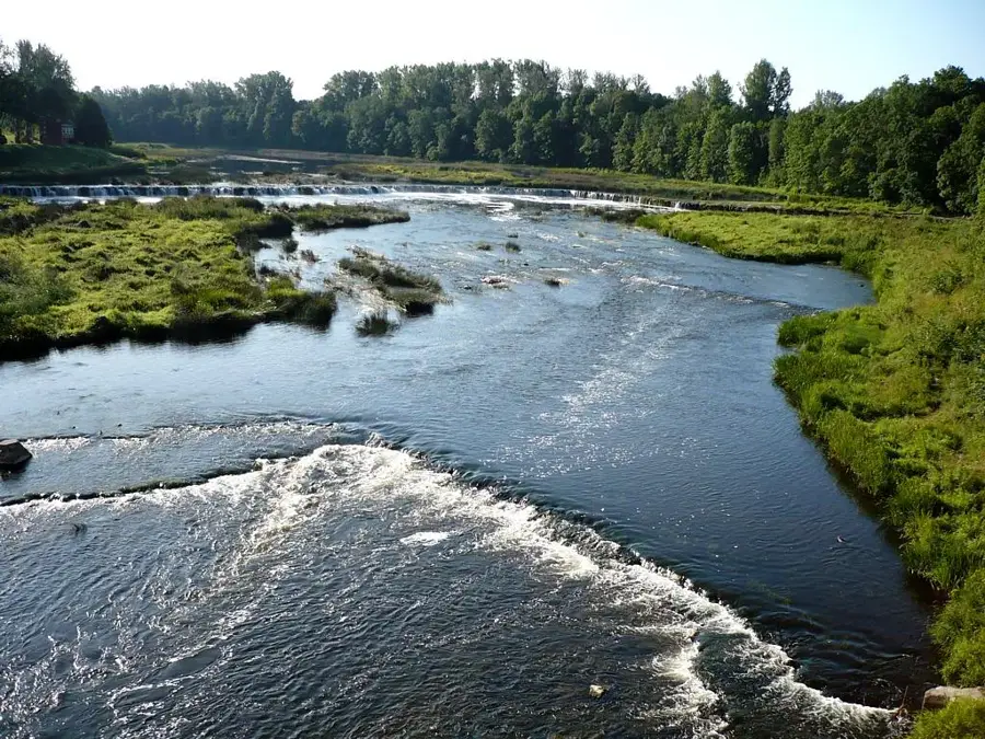 Venta River