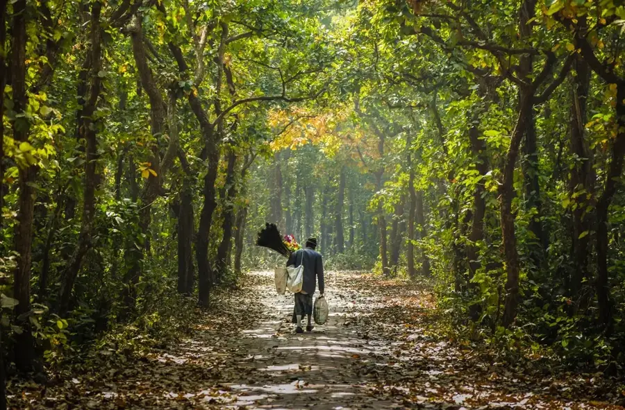 Podișul Madhupur — Wangdue Phodrang (Bhutan)