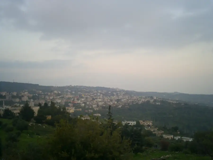 Mahis