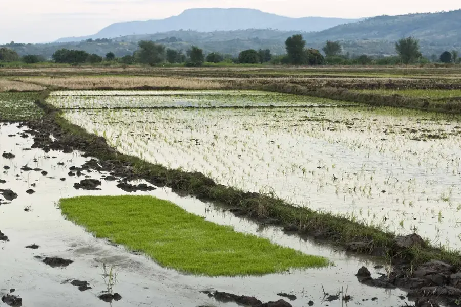 Karonga — Rumphi Boma (Malawi)