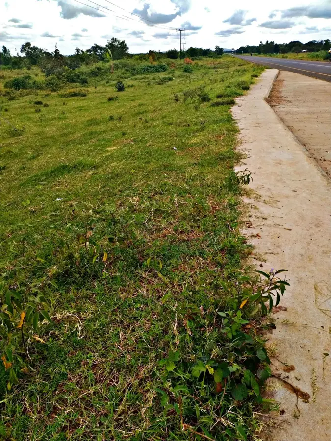 Kasungu — Casa Thyolo (Malawi)