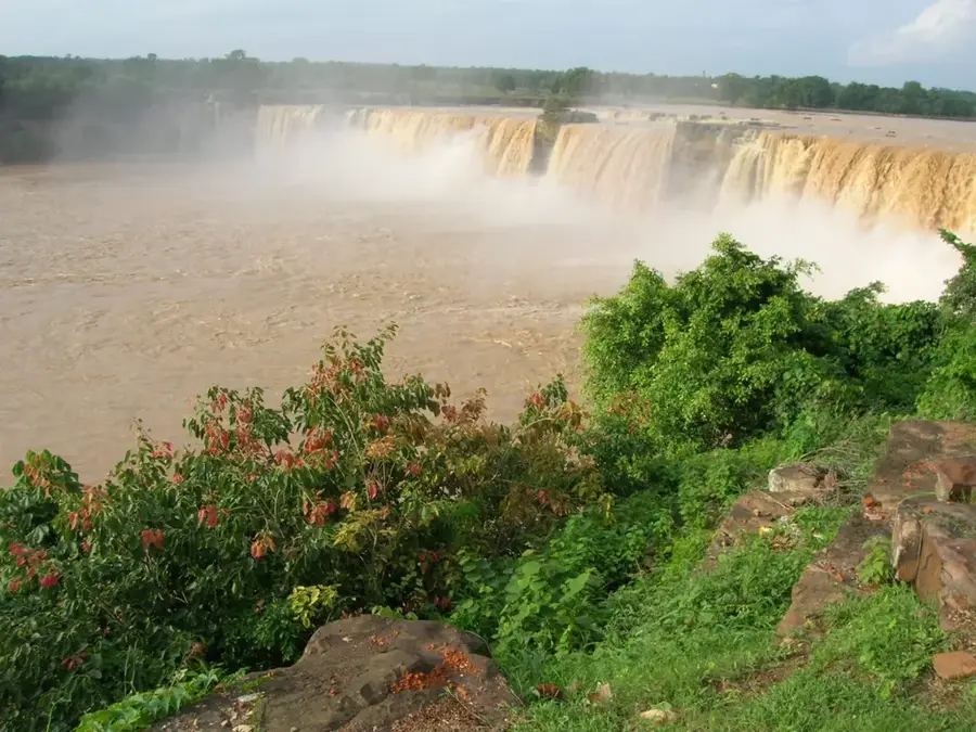 Kuti Wildlife Reserve