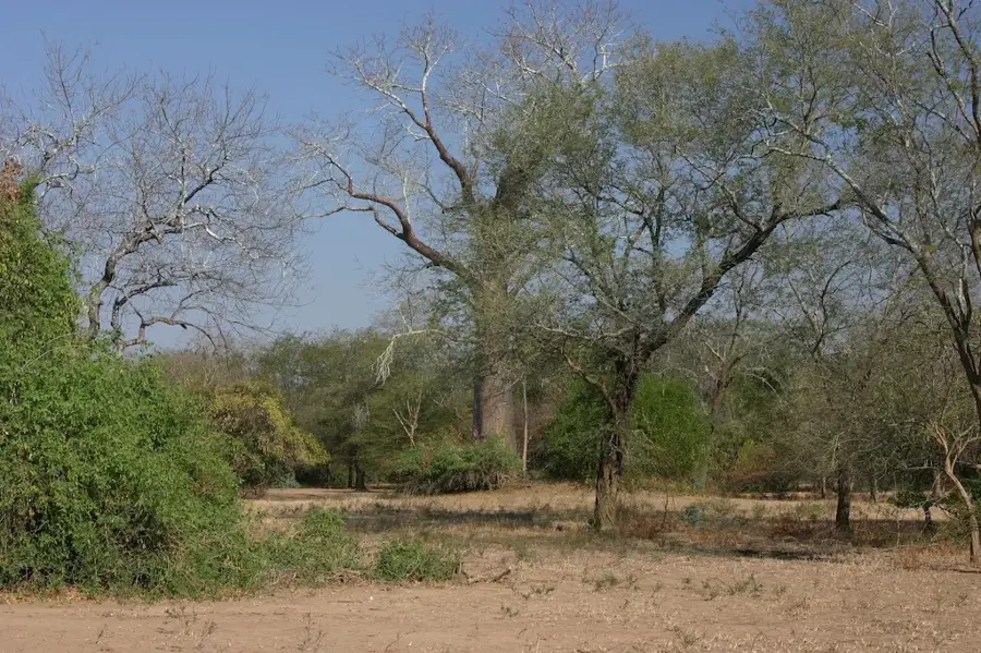Lengwe National Park