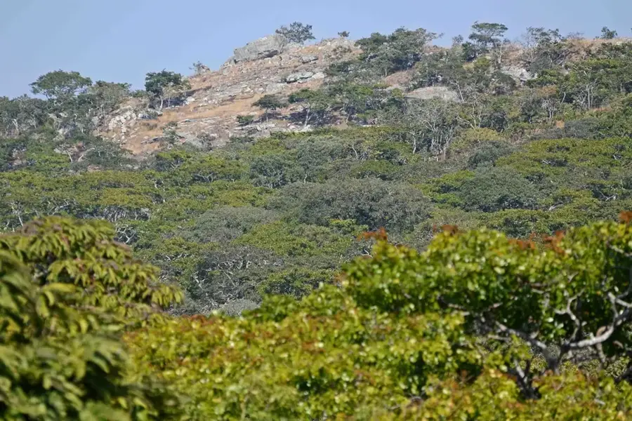 Nkhotakota Escarpment