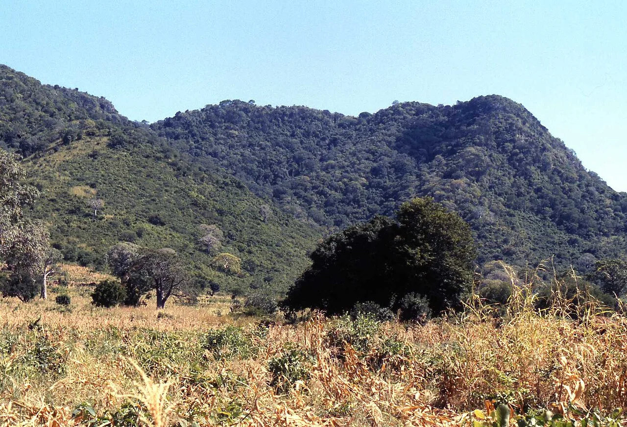 Rezervația Forestieră Ntchisi — Escarpa Nkhotakota (Malawi)
