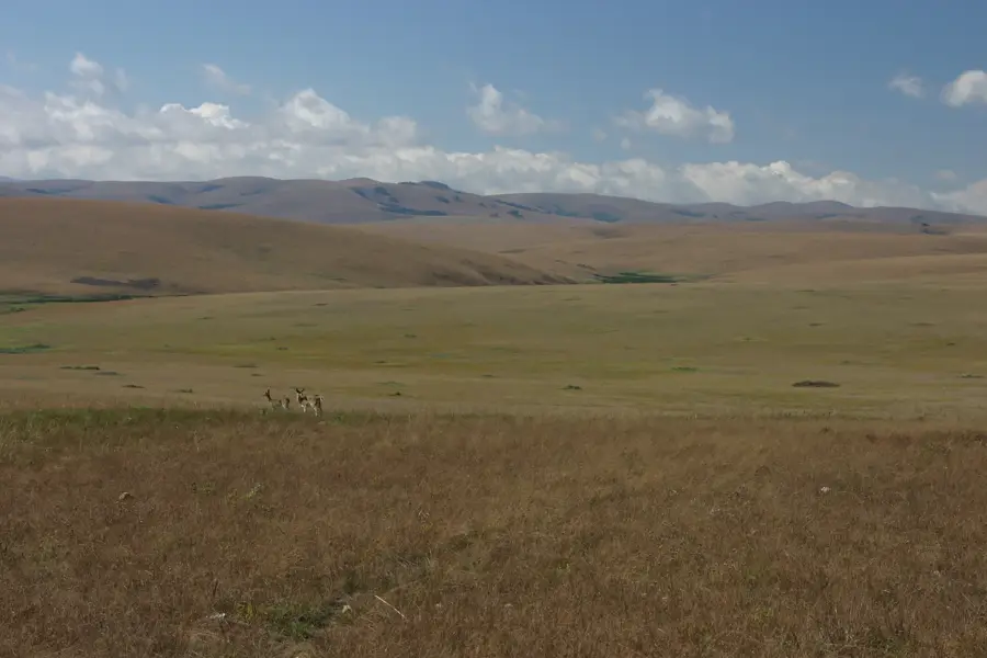 Nyika National Park