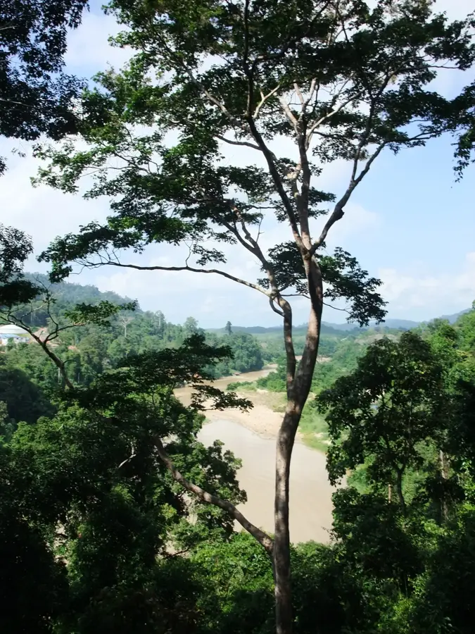 Taman Negara (Kuala Tahan)