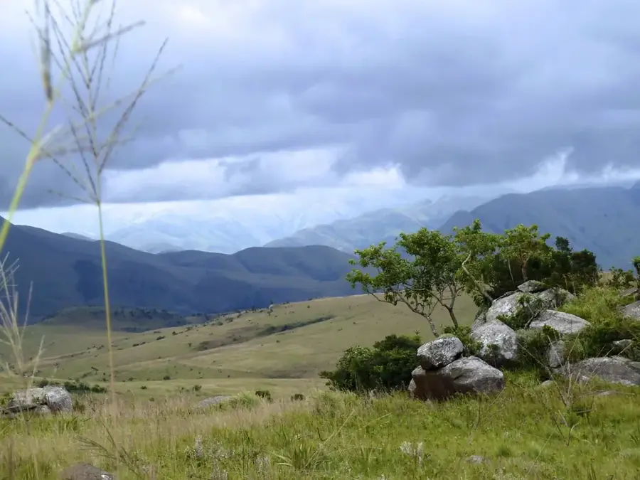 Malolotja-Vogelhabitat — Ngwenya-Berg (Eswatini)