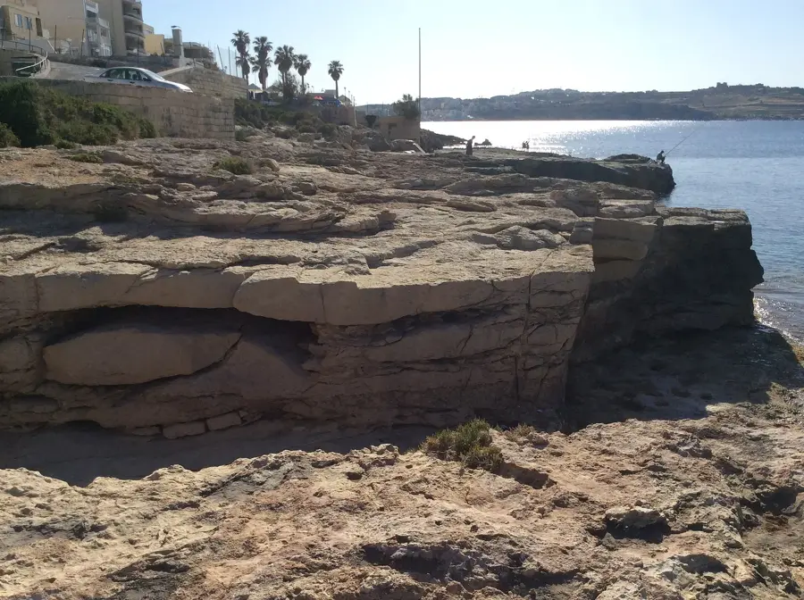 Platoul Il-Għallies — Parcul de Păsări Malta (Malta)