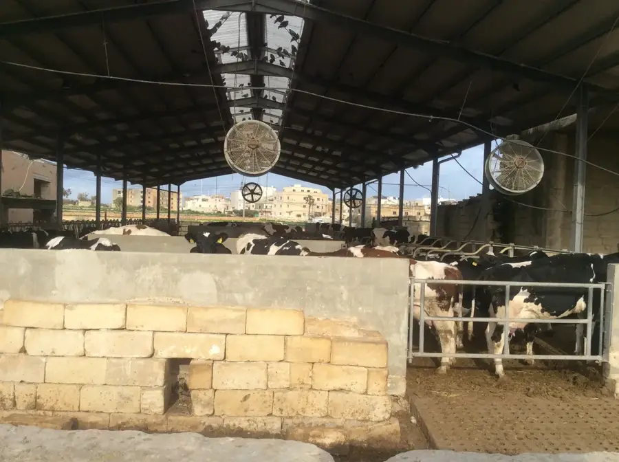 Creasta Il-Għaxaq — Marsa (Malta)
