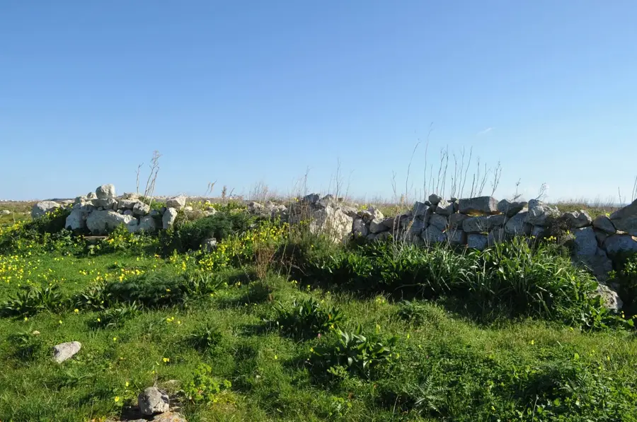 Platoul Ta' Ċenċ — Qala (Malta)