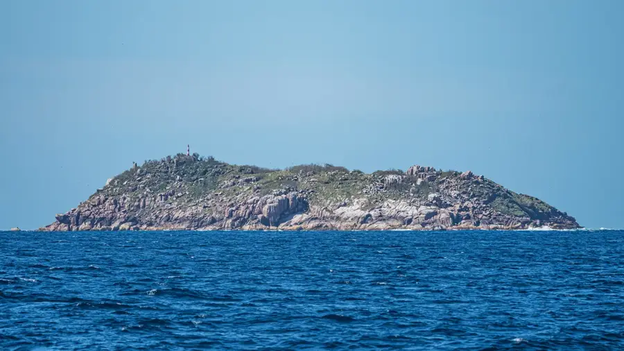 Colonia de păsări marine de pe insula Mamelles