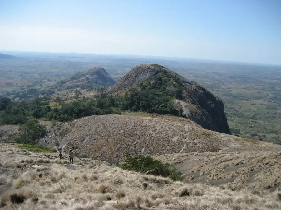Manica