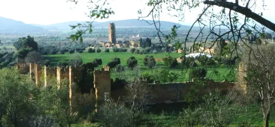 Mansourah-Moschee