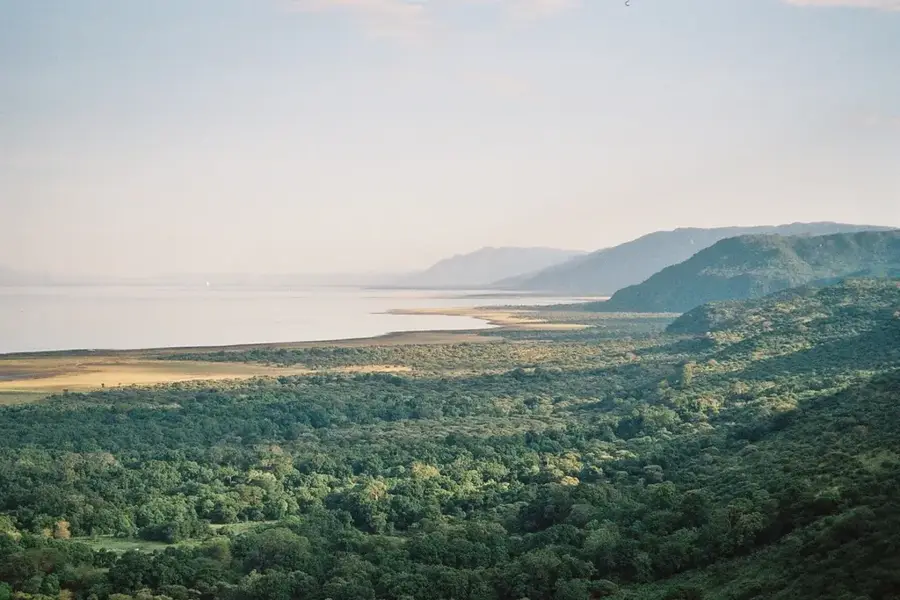 Manyarasee
