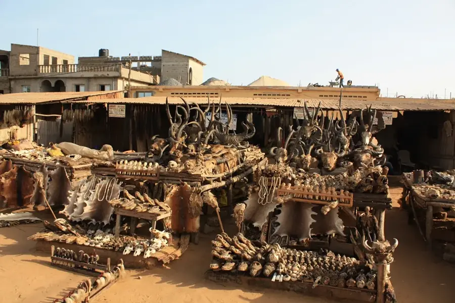 Akodessewa Fetish Market — Lake Togo (Togo)
